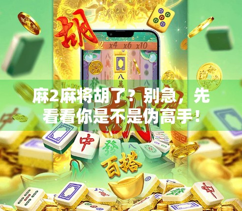 麻2麻将胡了？别急，先看看你是不是伪高手！