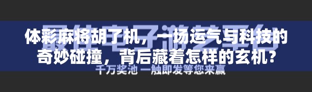 体彩麻将胡了机，一场运气与科技的奇妙碰撞，背后藏着怎样的玄机？