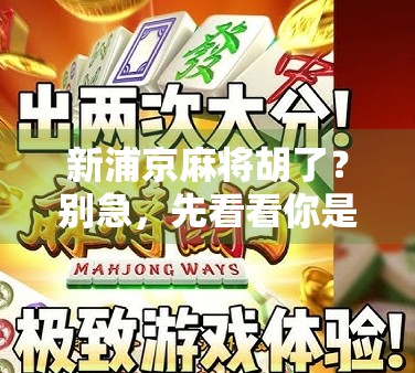 新浦京麻将胡了？别急，先看看你是不是诈胡！