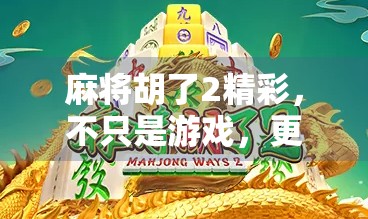 麻将胡了2精彩，不只是游戏，更是社交与智慧的盛宴