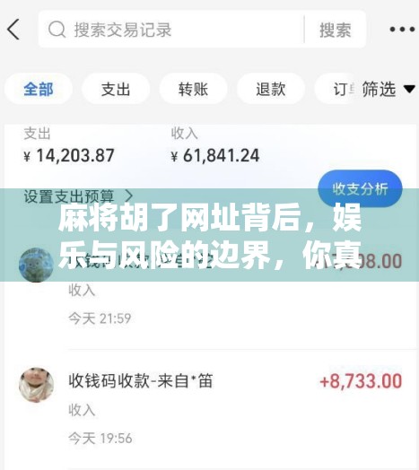 麻将胡了网址背后，娱乐与风险的边界，你真的了解吗？