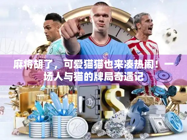 麻将胡了，可爱猫猫也来凑热闹！一场人与猫的牌局奇遇记