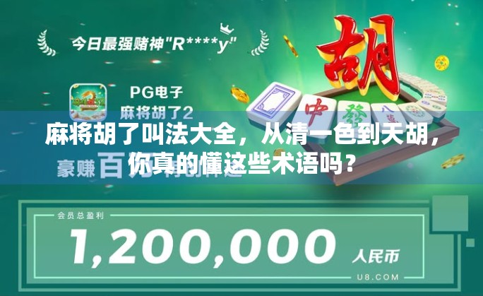 麻将胡了叫法大全，从清一色到天胡，你真的懂这些术语吗？