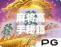麻将高手秘籍，如何玩麻将胡了2—从入门到精通的实战攻略