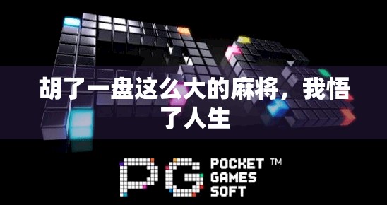 胡了一盘这么大的麻将，我悟了人生
