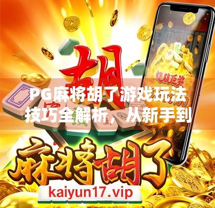PG麻将胡了游戏玩法技巧全解析,从新手到高手的进阶之路